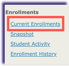 IS-Student-CurrentEnrollments.png